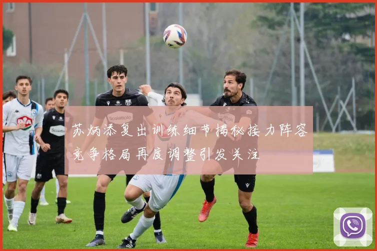 苏炳添复出训练细节揭秘接力阵容竞争格局再度调整引发关注